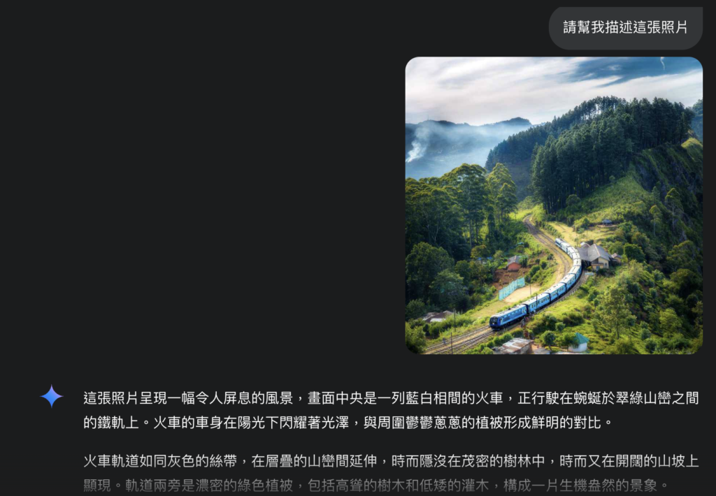 Gemini對圖片的理解一